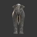 Realistic Woolly Mammoth Model With Long Tusks Standing In Lifelike Posture 3d model