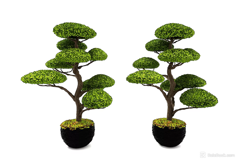 Two Artistic Bonsai Trees With Lush Green Layered Foliage In Black Pots 3d model 