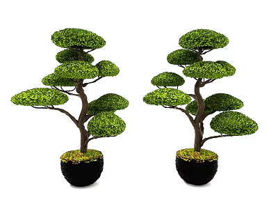 Two Artistic Bonsai Trees With Lush Green Layered Foliage In Black Pots 3d model