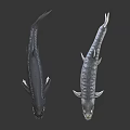 Two Fierce Looking Aquatic Animals With Black And Silver Streamlined Bodies And Sharp Teeth