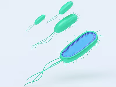 Medical Microbial Detection Device For Identifying Green Flagellated Bacteria With Blue Interior 3d model