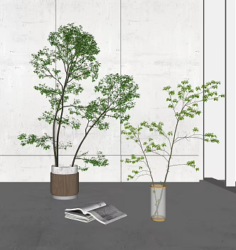 Modern Potted Plant 3d model
