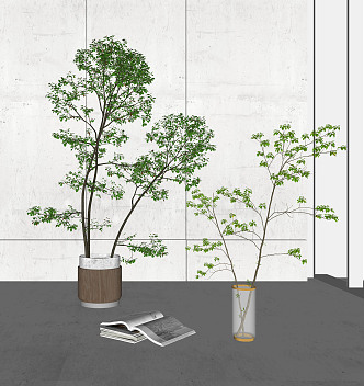 Modern Potted Plant 3d model