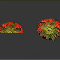 Fresh Whole And Sliced Strawberries With Green Leaves Red Skin And Fleshy Interior