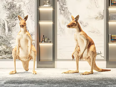 Stylish Kangaroo Figurines In Indoor Decorative Scene With Wall Art And Bookshelves 3d model