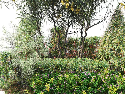 Beautiful Garden Shrubs With Green Leaves And Purple Flowers For Landscaping 3d model