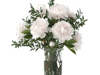 White Peony Flowers Arrangement In Transparent Glass Vase With Fresh Green Leaves And Clear Water 3d model