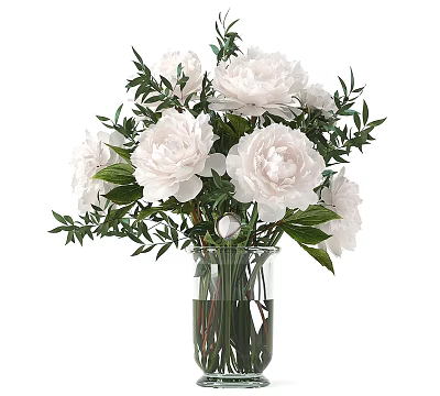 White Peony Flowers Arrangement In Transparent Glass Vase With Fresh Green Leaves And Clear Water 3d model