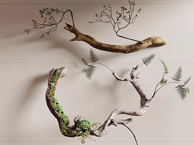 Bonsai Plant Featuring Natural Shaped Branches Ferns And Moss Covered Trunk For Decorative Wall 3d model
