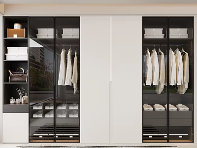Modern Wardrobe With Glass Doors Hanging Rods Storage Shelves And Drawers Design 3d model