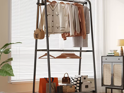 Clothing Rack With Hanging Clothes Bags Storage Boxes Near Plant And Window Blinds 3d model