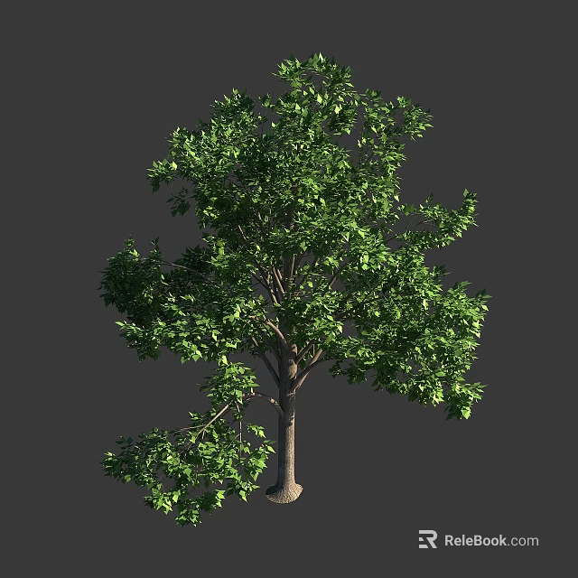 Lush Green Arbor Tree with Dense Foliage and Straight Trunk in Natural Scene 3d model 