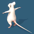 White Mouse Standing With Arms Outstretched On Blue Background 3d model