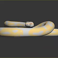 Striking Yellow and White Snake with Red Eyes Coiled on Black Background
