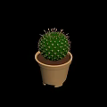 Indoor Green Spherical Cactus With Sharp Spines In Beige Pot And Brown Soil