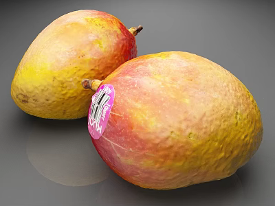 Two Fresh Ripe Mangoes With Red Yellow Skin And Pink Sticker On Gray Surface 3d model