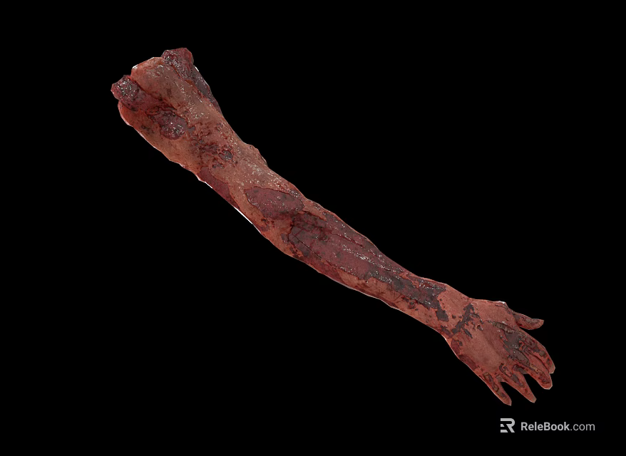 Decayed Arm of Gory Character and Creature Showing Rotten Flesh Details 3d model 