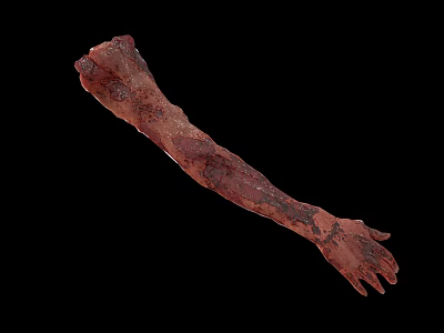 Decayed Arm of Gory Character and Creature Showing Rotten Flesh Details 3d model