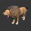 Realistic 3D Lion Model With Roaring Expression Standing On Reflective Black Surface 3d model