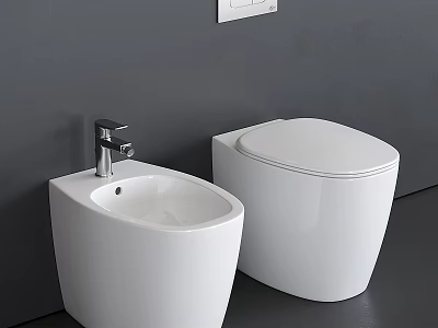Modern Minimalist Gray Bathroom Interior with Ceramic Toilet and Bidet 3d model