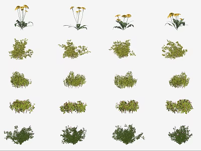 Diverse Collection of Flowers and Green Plants Showcasing Various Shapes and Foliage for Garden Decoration 3d model