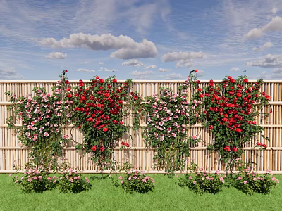 Green Plant Wall with Red and Pink Roses on Bamboo Fence Green Grass Blue Sky 3d model