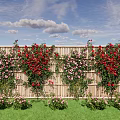 Green Plant Wall with Red and Pink Roses on Bamboo Fence Green Grass Blue Sky