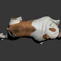 Brown And White Bulldog Stuffed Toy With Realistic Design And Lifelike Features