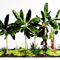 Lush Arbor Collection With Green Leaves And Grass In Natural Landscape