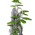Artistic Garden Bonsai Ornaments With Greenery And Rock Formations Design