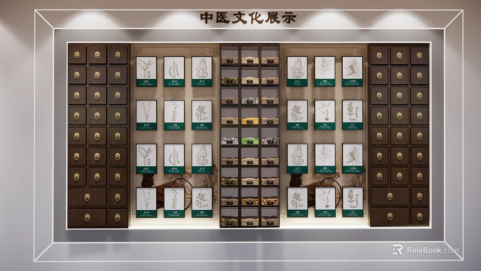 Traditional Chinese Medicine Culture Wall With Herbal Cabinets And Illustrative Displays 3d model 