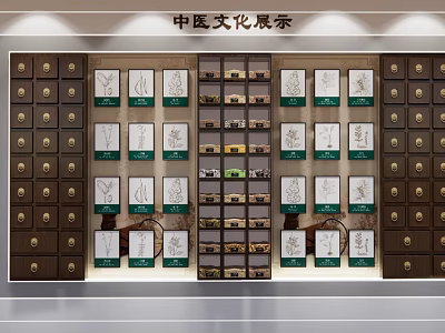 Traditional Chinese Medicine Culture Wall With Herbal Cabinets And Illustrative Displays 3d model