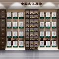 Traditional Chinese Medicine Culture Wall With Herbal Cabinets And Illustrative Displays