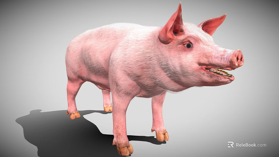 Standing Plump Pink Pig With Prominent Ears Open Mouth And Short Legs On Gray Background 3d model 