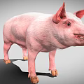 Standing Plump Pink Pig With Prominent Ears Open Mouth And Short Legs On Gray Background