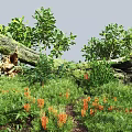Lush Greenery With Orange Flowers Fallen Tree Trunk And Green Shrubs On Vibrant Grass Field
