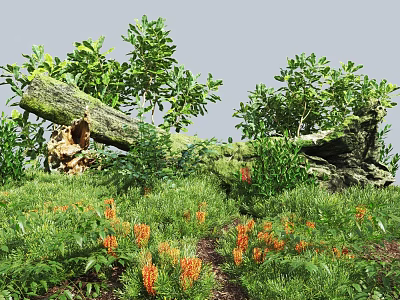 Lush Greenery With Orange Flowers Fallen Tree Trunk And Green Shrubs On Vibrant Grass Field 3d model
