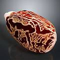 Detailed Organ Structure With Hair Like Texture And Red Brown Surface