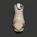 Adorable Pug Dog Standing On Dark Background With Smooth Fur And Shiny Reflection