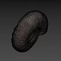 Detailed Natural Ivory Seashell With Textured Surface On Gray Background