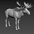 Realistic Metallic Silver Moose Sculpture With Intricate Antlers And Standing Posture