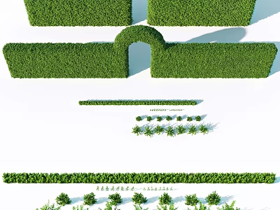 Neatly Trimmed Shrub Hedges With Various Shapes For Garden Landscaping Design 3d model