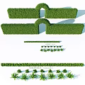 Neatly Trimmed Shrub Hedges With Various Shapes For Garden Landscaping Design