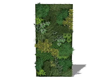 Lush Vertical Green Wall With Diverse Leafy Plants For Interior Design 3d model