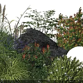 Beautiful Garden Flowers And Plants With Purple Red Blooms Green Grass Large Rock White Blossoms