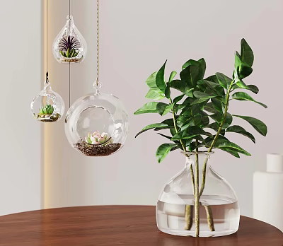Indoor Plant Decor Hanging Glass Globes With Succulents Clear Vase Green Plant On Wooden Table 3d model
