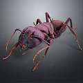 Detailed 3D Render of Ant With Long Antennae and Segmented Body Structure