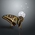 Modern Butterfly Dandelion Colored Butterfly Tabby Butterfly 3d model