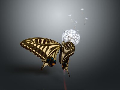 Modern Butterfly Dandelion Colored Butterfly Tabby Butterfly 3d model