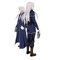 Elegant Man With Silver White Long Hair Wearing Dark Blue Robe Holding A Book